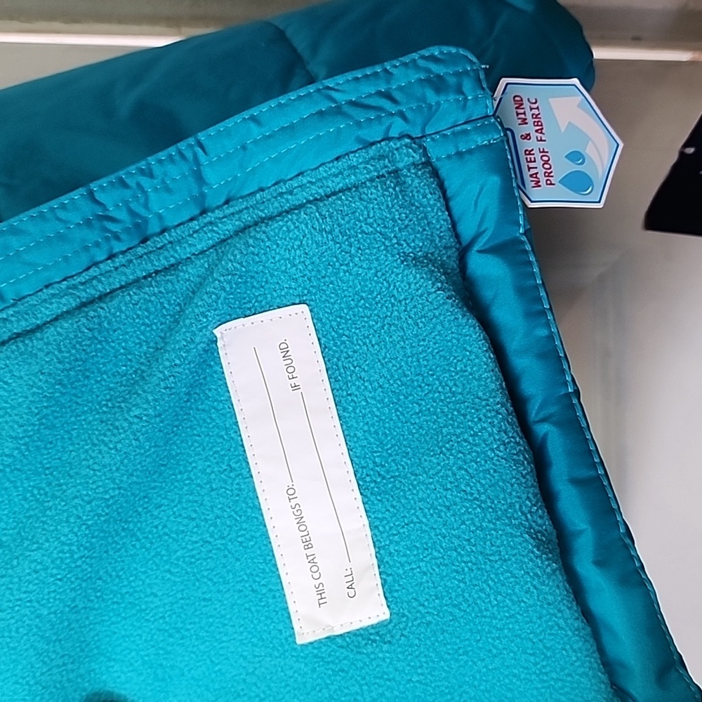 Vibrant Blue Insulated Puffer Jacket with Hood - Picture 5 of 10